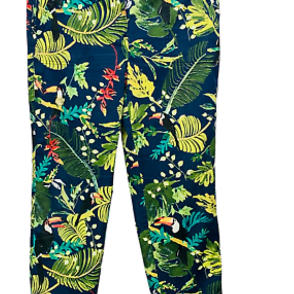 Chico’s boutique tropical print ankle pants , size US 14.